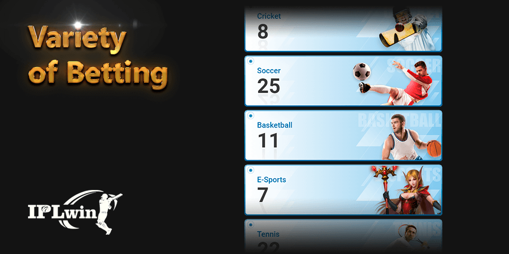 Bet81 com